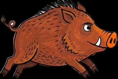 Crash, das Wildschwein, im vollen Lauf