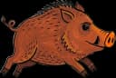 Crash, das Wildschwein, im vollen Lauf