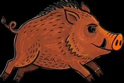 Crash, das Wildschwein, im vollen Lauf